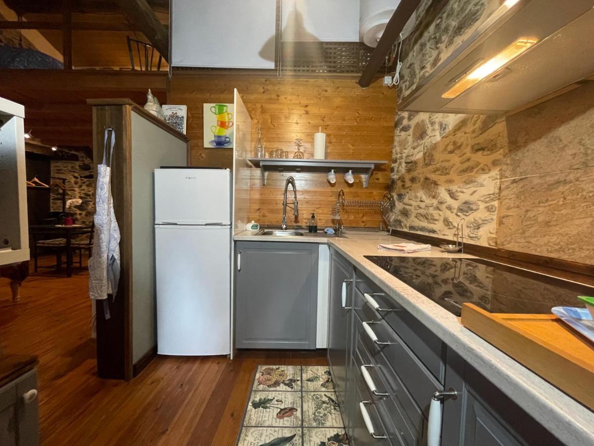 Apartamento Felicitas En La Casa De Cobos, Ribeira Sacra Puebla Del Brollon Ngoại thất bức ảnh