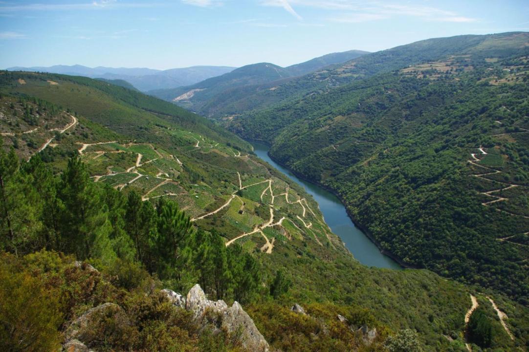 Apartamento Felicitas En La Casa De Cobos, Ribeira Sacra Puebla Del Brollon Ngoại thất bức ảnh
