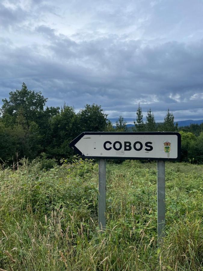 Apartamento Felicitas En La Casa De Cobos, Ribeira Sacra Puebla Del Brollon Ngoại thất bức ảnh